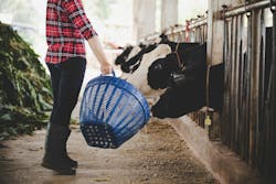 6776bf2df639422cdee6581b Dreamstime Xxl 150295487 6776bf2df639422cdee6581b Dreamstime Xxl 150295487