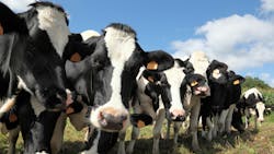 677d4496f30786792c6582ee Dreamstime Xxl 63365552 677d4496f30786792c6582ee Dreamstime Xxl 63365552