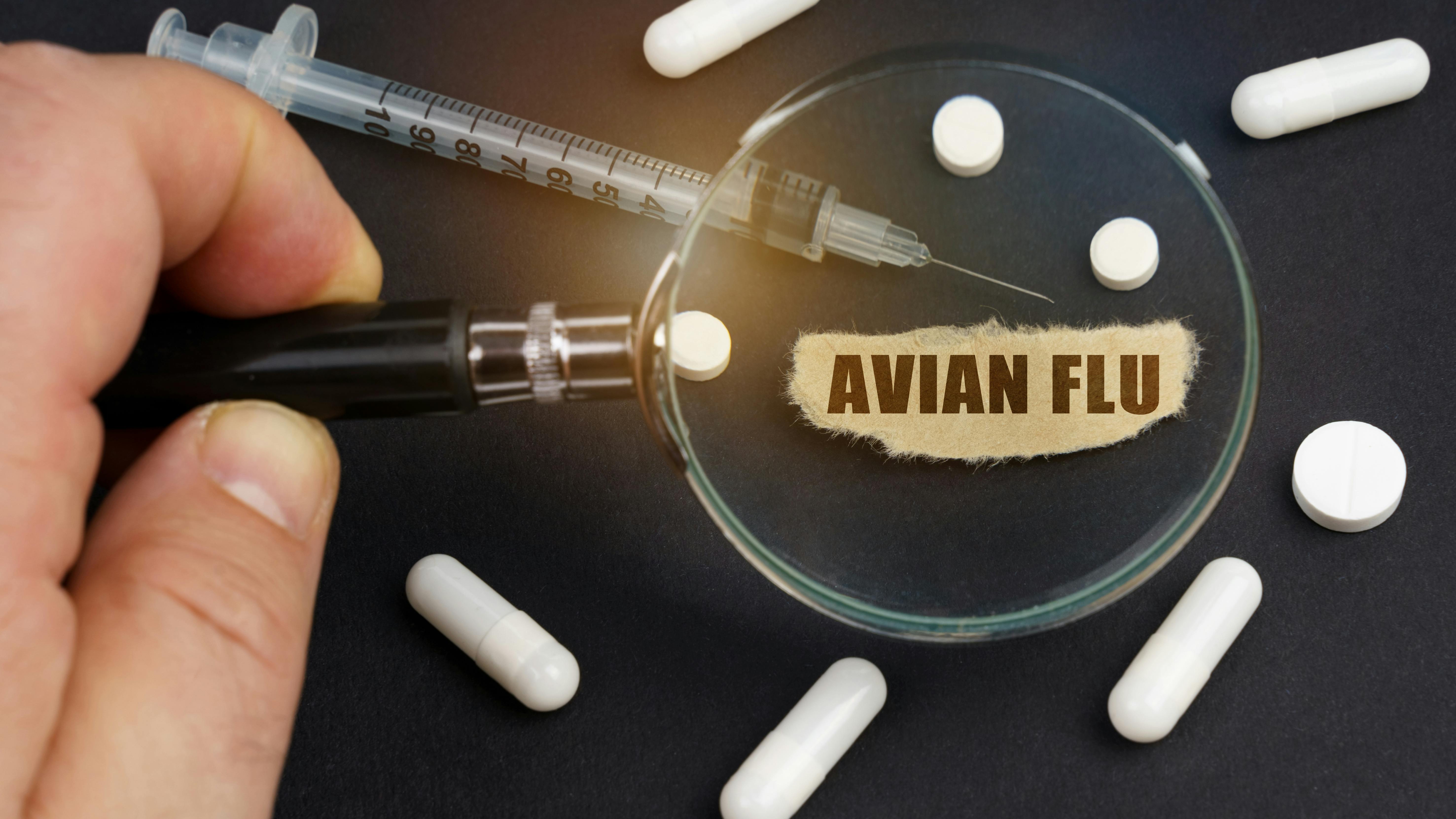 677d4711e79c06908b339c17 Dreamstime Xxl 236958198