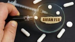 dreamstime_xxl_236958198 dreamstime_xxl_236958198