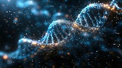 6788371683032e3c4dd7f944 Dreamstime Xxl 309524910 6788371683032e3c4dd7f944 Dreamstime Xxl 309524910