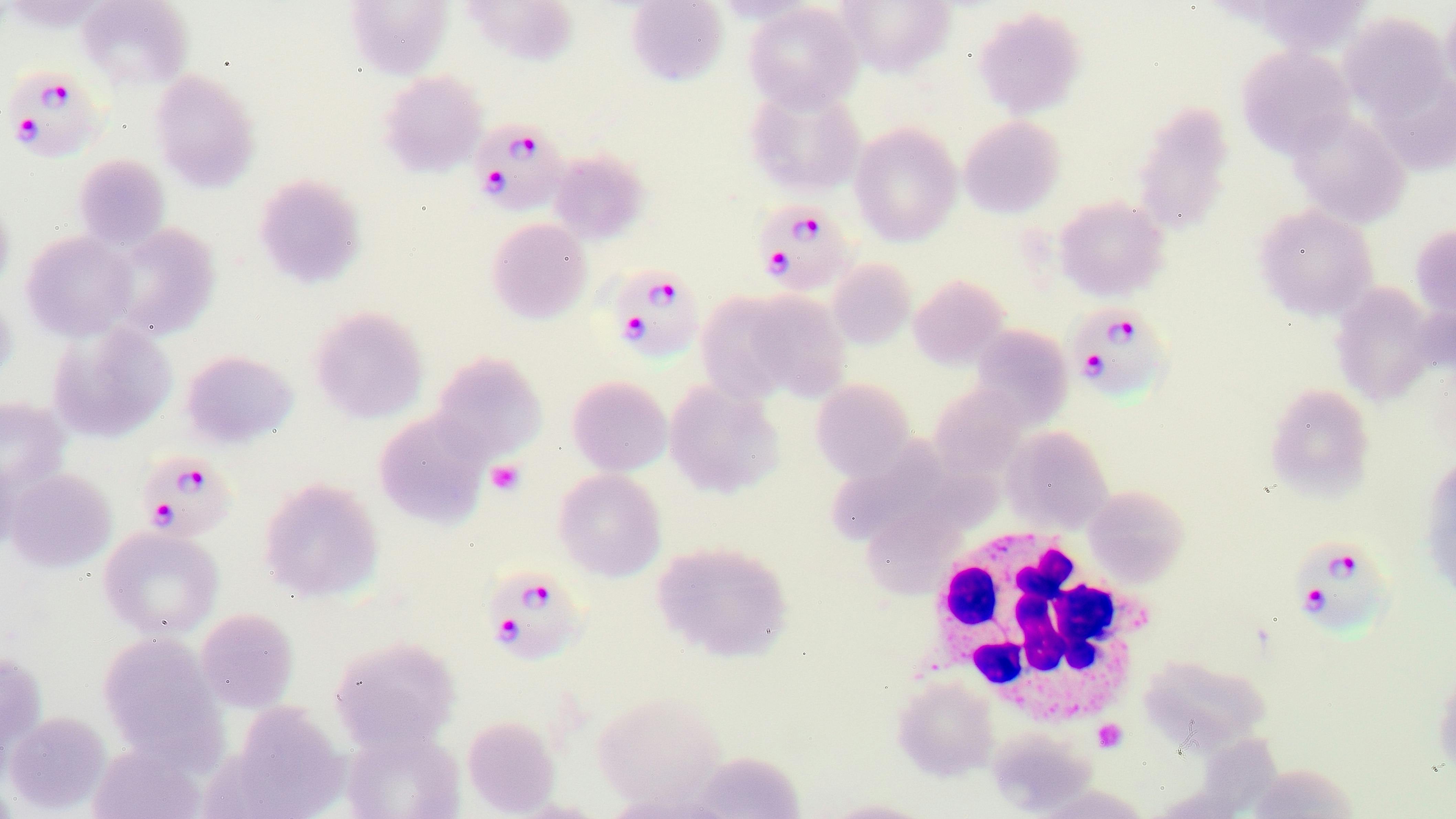 678925b89e95495de2ad1660 Dreamstime Xxl 66537811