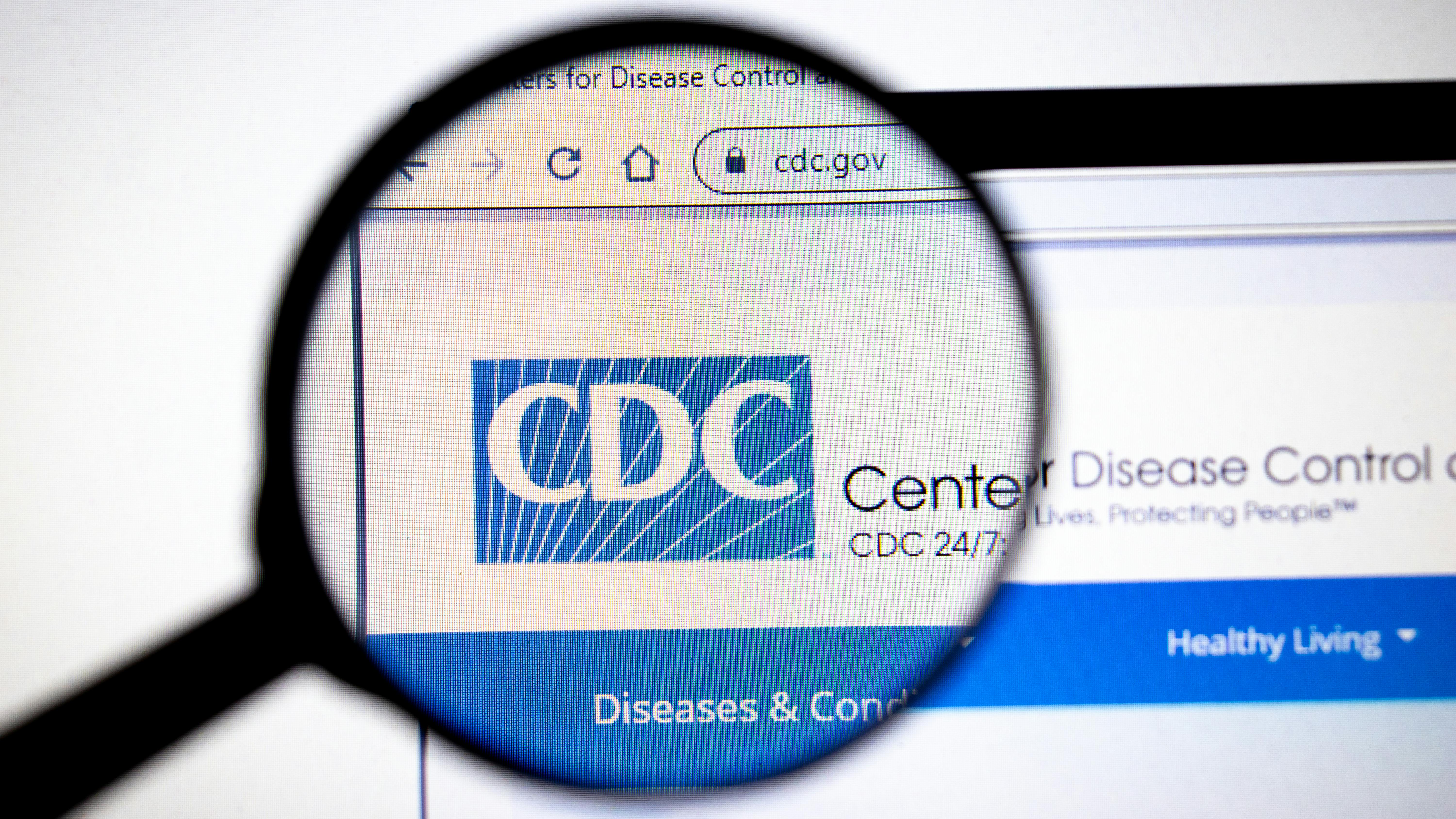 6793b8f8700009fb3344b783 Dreamstime Xxl 170384413