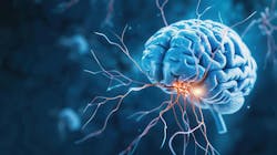 679a38c13369c5dc9b89ab03 Adobestock 917885277 679a38c13369c5dc9b89ab03 Adobestock 917885277