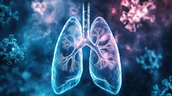 679a3a433cf338245d59b3a7 Dreamstime Xxl 355448423 679a3a433cf338245d59b3a7 Dreamstime Xxl 355448423