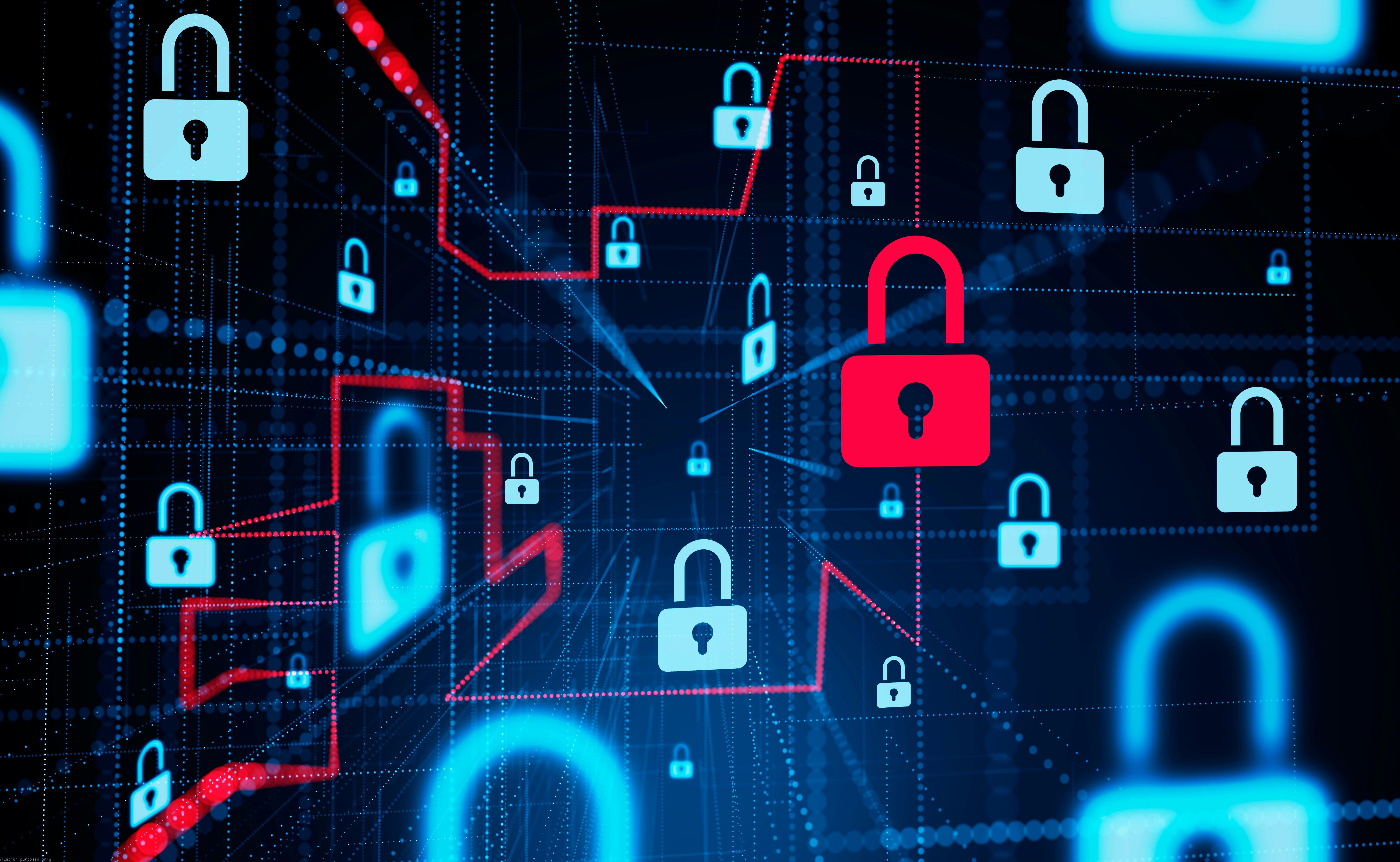 679a3bafb608cb0f38beea74 Adobestock 561474904