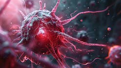 dreamstime_xxl_333098705 dreamstime_xxl_333098705