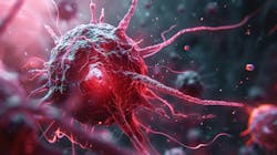 679cf24c77cbc31026c40960 Dreamstime Xxl 333098705 679cf24c77cbc31026c40960 Dreamstime Xxl 333098705