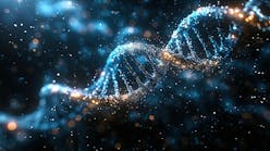 dreamstime_xxl_309524910_1 dreamstime_xxl_309524910_1