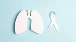 67a237ff5c3699468d05efcb Dreamstime Xxl 160613971 67a237ff5c3699468d05efcb Dreamstime Xxl 160613971