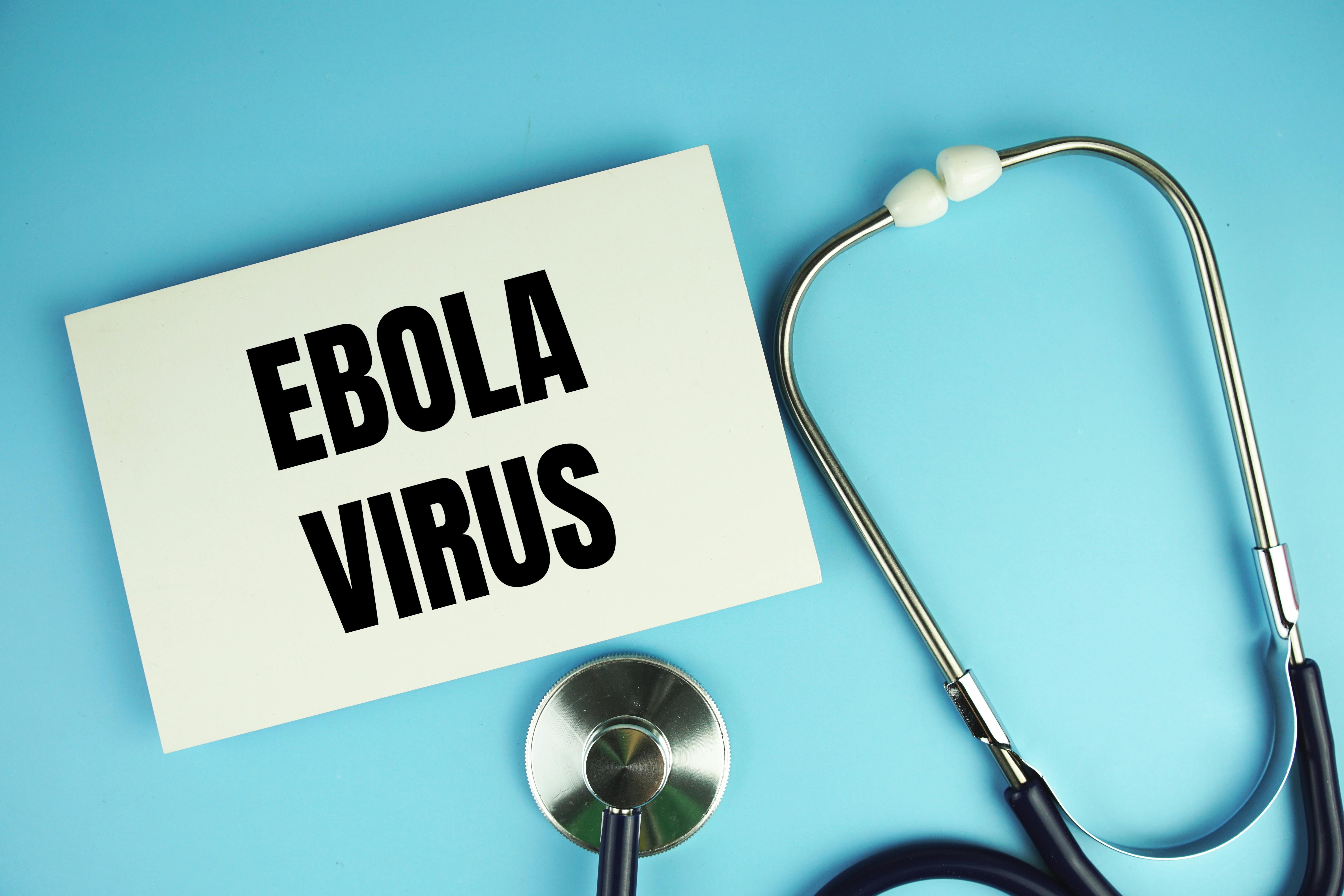 67acbb35ee5657403819e122 Dreamstime Xxl 325008975