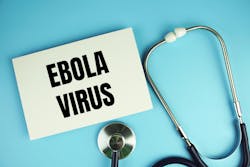 67acbb35ee5657403819e122 Dreamstime Xxl 325008975 67acbb35ee5657403819e122 Dreamstime Xxl 325008975