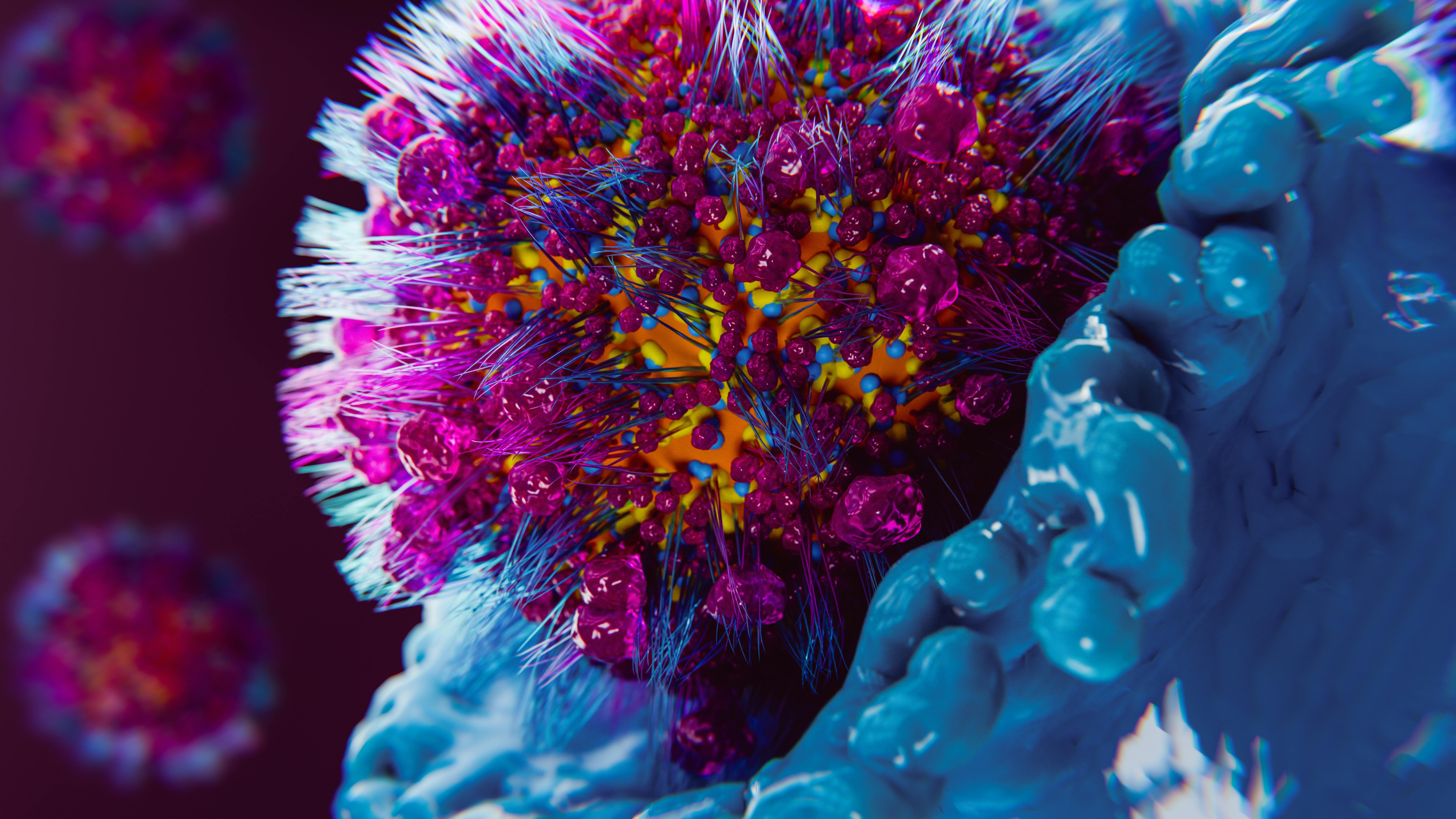 67acc0398a200509551eca66 Adobestock 1240167623