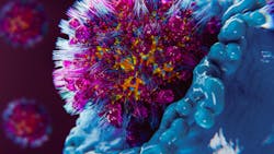 67acc0398a200509551eca66 Adobestock 1240167623 67acc0398a200509551eca66 Adobestock 1240167623