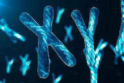 67af65c1d048588051caebf9 Dreamstime Xxl 141702959 67af65c1d048588051caebf9 Dreamstime Xxl 141702959