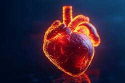 67af668679d29027fe373c67 Dreamstime Xxl 348319505 67af668679d29027fe373c67 Dreamstime Xxl 348319505