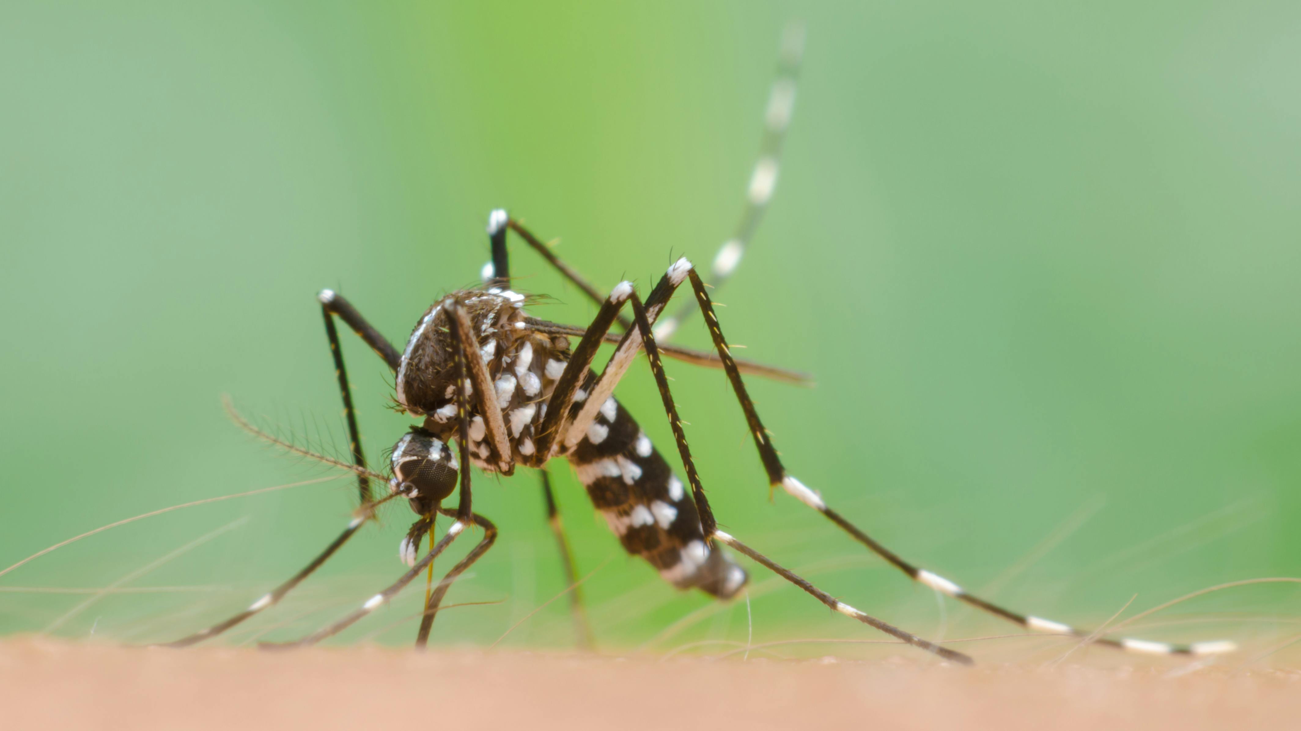 67b3580b21601a29d9970981 Dreamstime Xxl 92434234