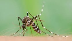 67b3580b21601a29d9970981 Dreamstime Xxl 92434234 67b3580b21601a29d9970981 Dreamstime Xxl 92434234