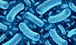 67bddb6328e452dadc2e3679 Dreamstime Xxl 342660639 67bddb6328e452dadc2e3679 Dreamstime Xxl 342660639