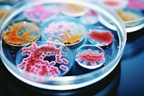 dreamstime_xxl_317078522 dreamstime_xxl_317078522