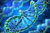 dreamstime_xxl_323032177 dreamstime_xxl_323032177