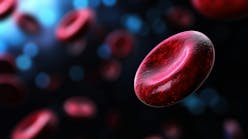 adobestock_1045200027 adobestock_1045200027