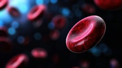 67c09060f6927cf6dd47ded2 Adobestock 1045200027 67c09060f6927cf6dd47ded2 Adobestock 1045200027