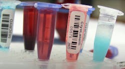 cryovialswithlabelseim cryovialswithlabelseim