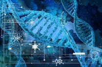 dreamstime_xxl_61156402 dreamstime_xxl_61156402