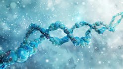 dreamstime_xxl_310498432 dreamstime_xxl_310498432