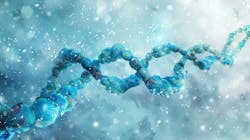 67d831fec211bb5035f8c306 Dreamstime Xxl 310498432 67d831fec211bb5035f8c306 Dreamstime Xxl 310498432