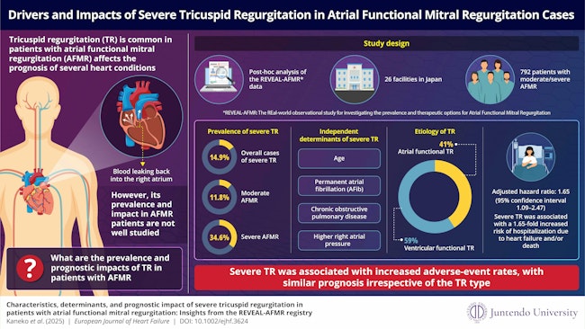 67d97a916f99470d9b040f19 Infographic 1