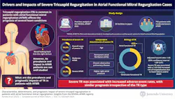 67d97a916f99470d9b040f19 Infographic 1 67d97a916f99470d9b040f19 Infographic 1