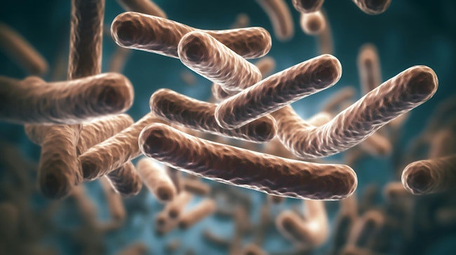 67e173944aa6fe07c2503610 Adobestock 594900830