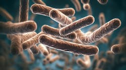 67e173944aa6fe07c2503610 Adobestock 594900830 67e173944aa6fe07c2503610 Adobestock 594900830