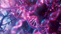 67e2cef92173bd08c11a44fa Dreamstime Xxl 315332839 67e2cef92173bd08c11a44fa Dreamstime Xxl 315332839