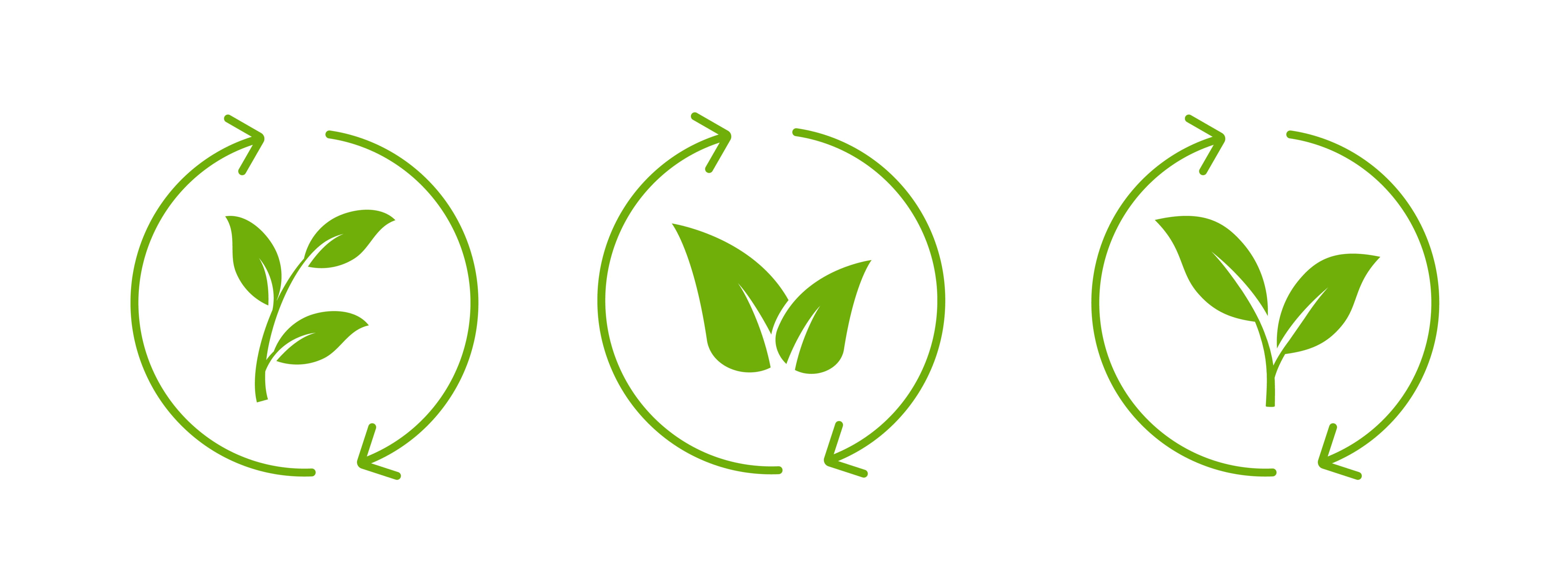 67ed4111706101901d51e200 Adobestock 1199706661