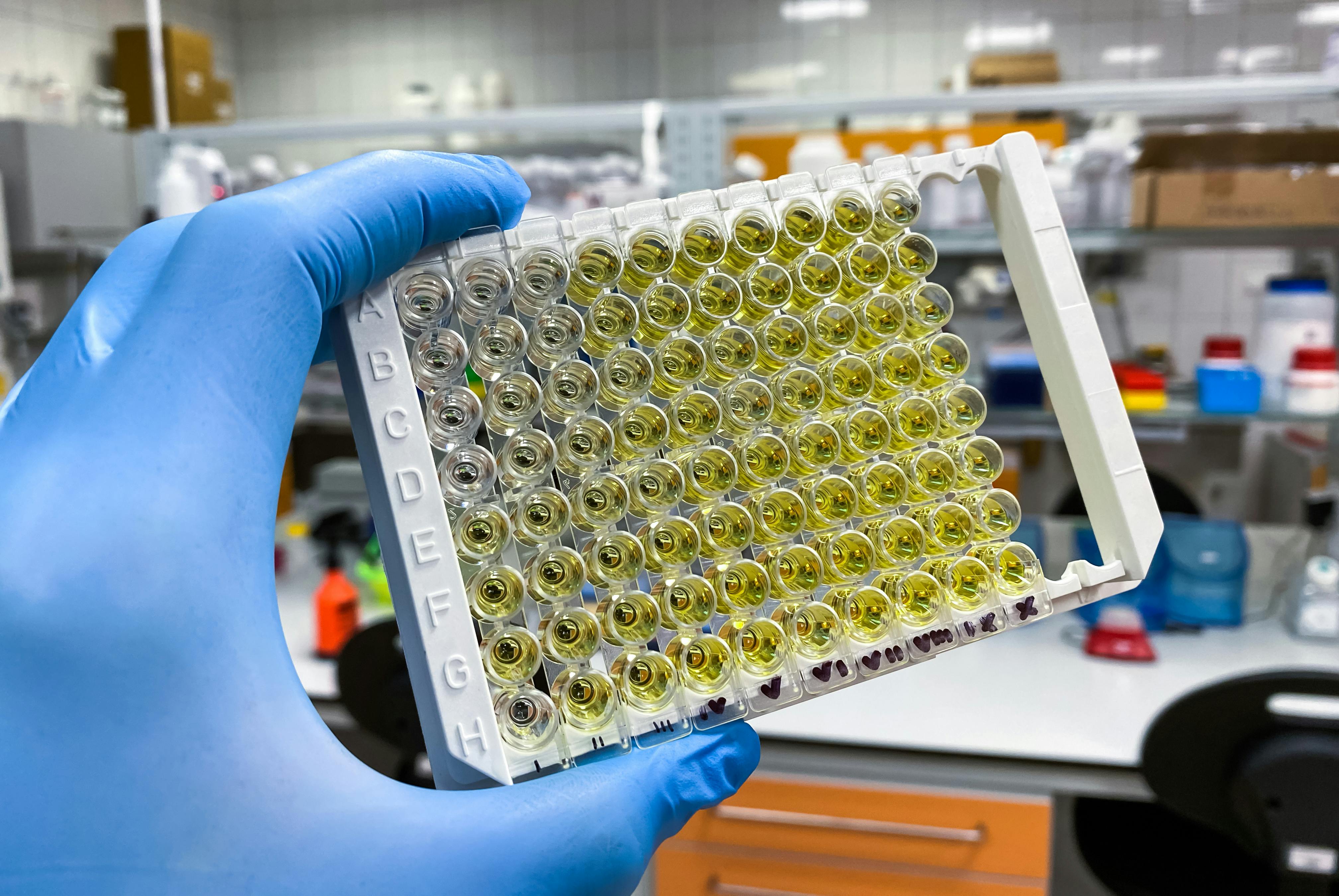 67eff049395a0b3b35937245 Adobestock 526070736