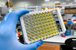 67eff049395a0b3b35937245 Adobestock 526070736 67eff049395a0b3b35937245 Adobestock 526070736