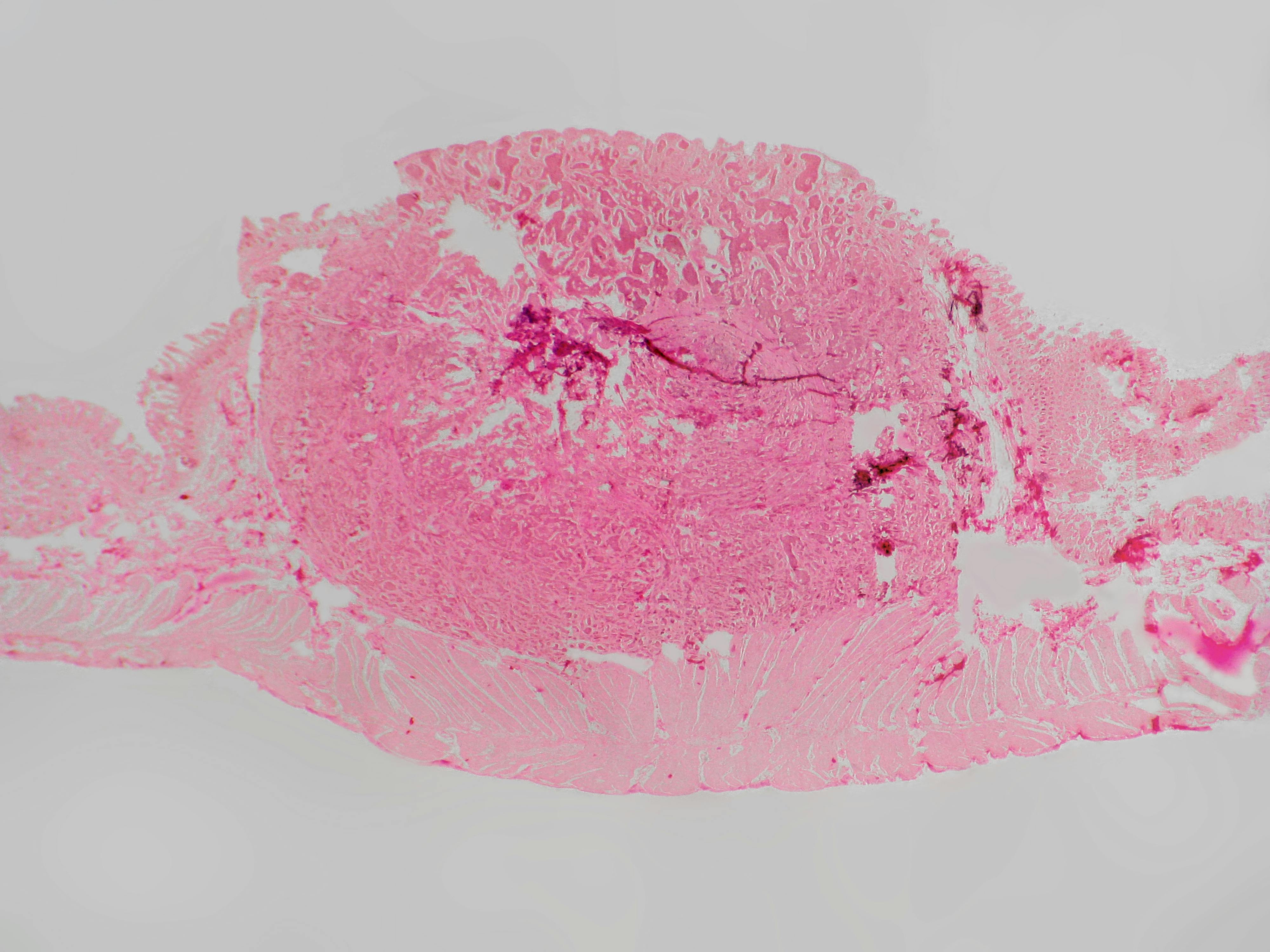 67f689a86ad5da406d97cd16 Dreamstime Xxl 17115148