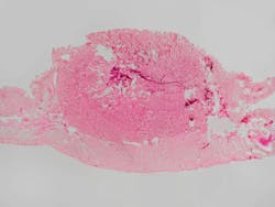 67f689a86ad5da406d97cd16 Dreamstime Xxl 17115148 67f689a86ad5da406d97cd16 Dreamstime Xxl 17115148