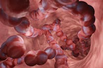 adobestock_551140731 adobestock_551140731