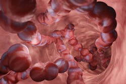 67f7ccec5cc4738030c6761d Adobestock 551140731 67f7ccec5cc4738030c6761d Adobestock 551140731