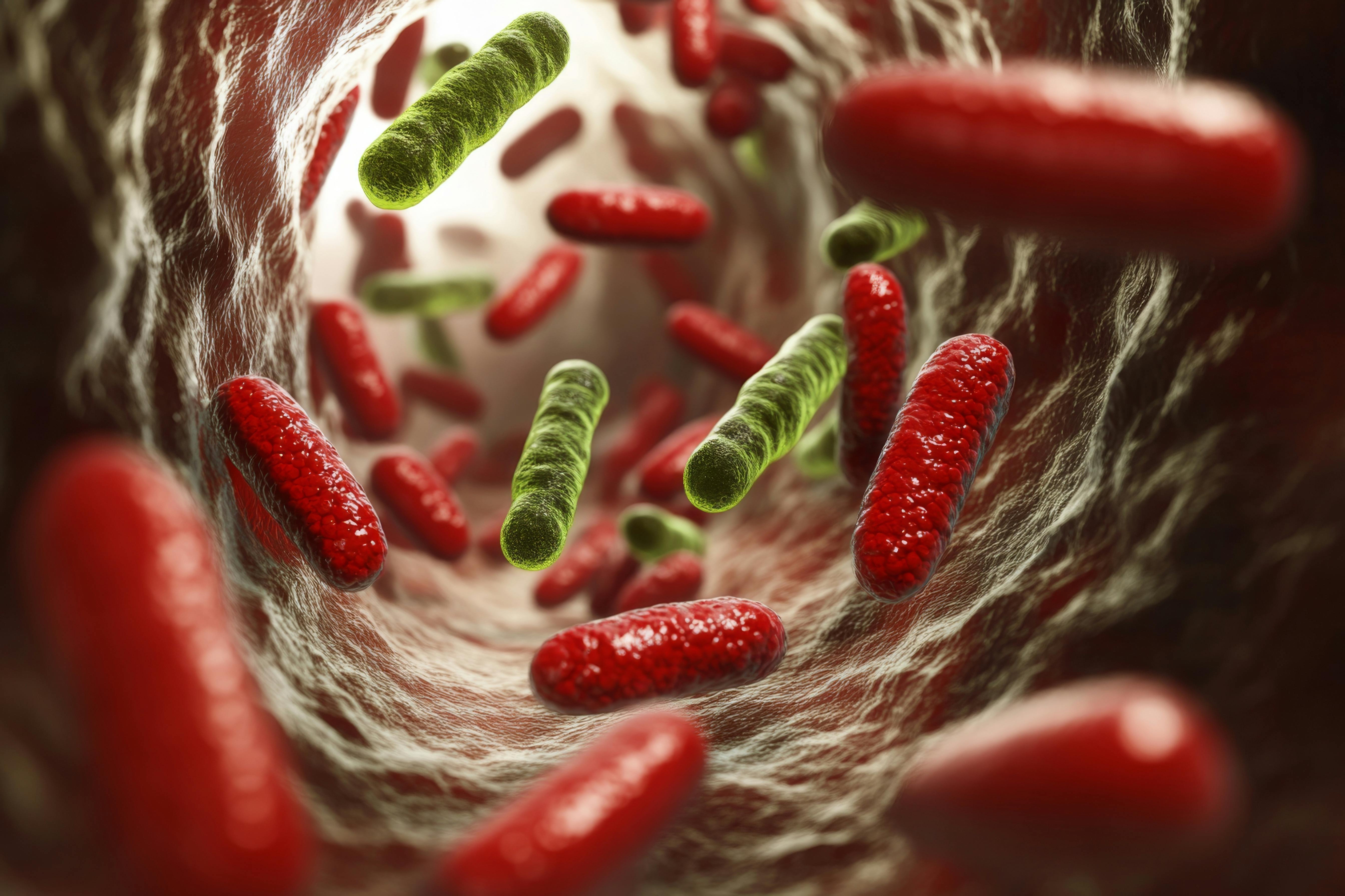 68079ccc483c3853ac3fae66 Dreamstime Xxl 336482967