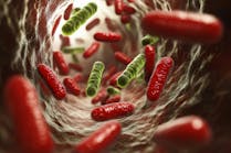 dreamstime_xxl_336482967 dreamstime_xxl_336482967