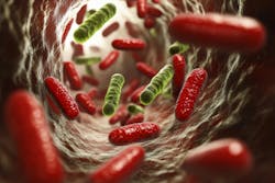 68079ccc483c3853ac3fae66 Dreamstime Xxl 336482967 68079ccc483c3853ac3fae66 Dreamstime Xxl 336482967