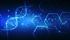 dreamstime_xxl_174899697 dreamstime_xxl_174899697