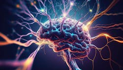 680fe7cc8f101b4819ee7530 Adobestock 568619020 680fe7cc8f101b4819ee7530 Adobestock 568619020