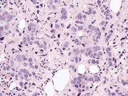 681230f37553f27578eb073f Dreamstime Xxl 282992682 681230f37553f27578eb073f Dreamstime Xxl 282992682