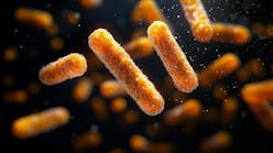 adobestock_1045526428 adobestock_1045526428